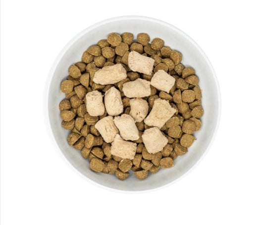 How to Choose the Right Dog Food for Your Pet’s Needs