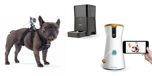 Smart Pet Technologies: What’s New in 2025?