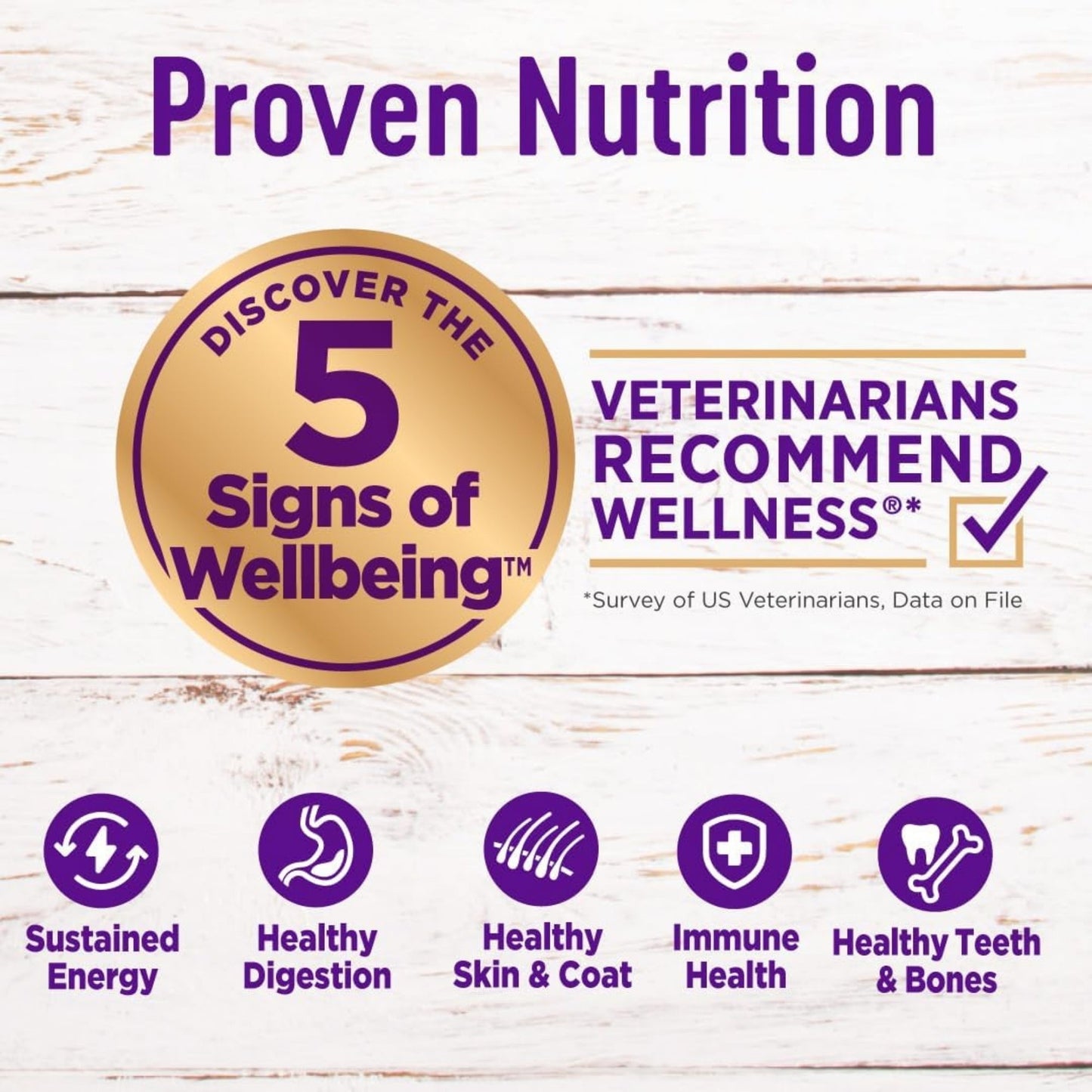 Wellness Complete Health Grain-free 22Lb Puppy Chicken Salmon