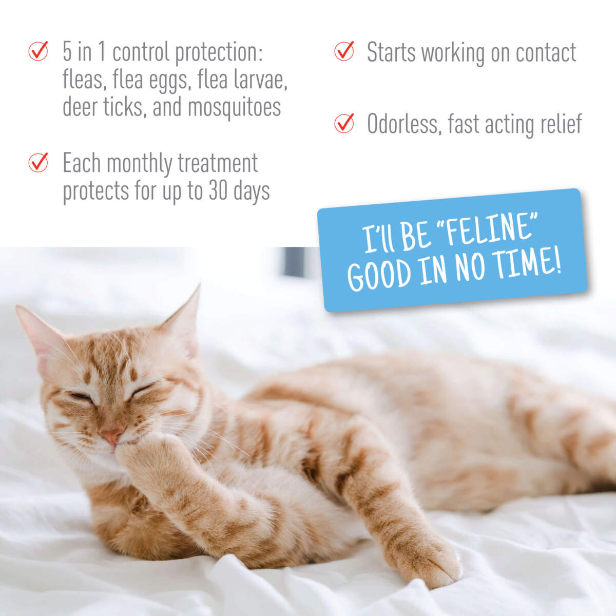 Adams Plus Flea & Tick Spot On for Cats & Kittens 1ea/Over 5 lb