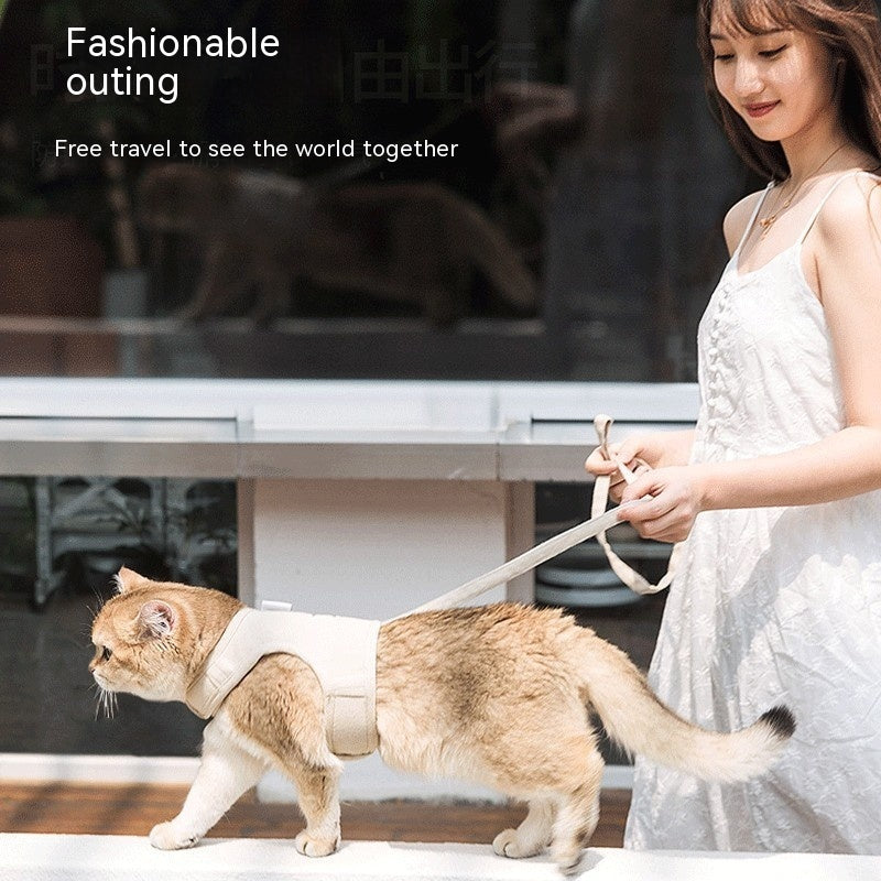 Pet Outing Hand Holding Rope Chest Strap Anti Breaking Loose
