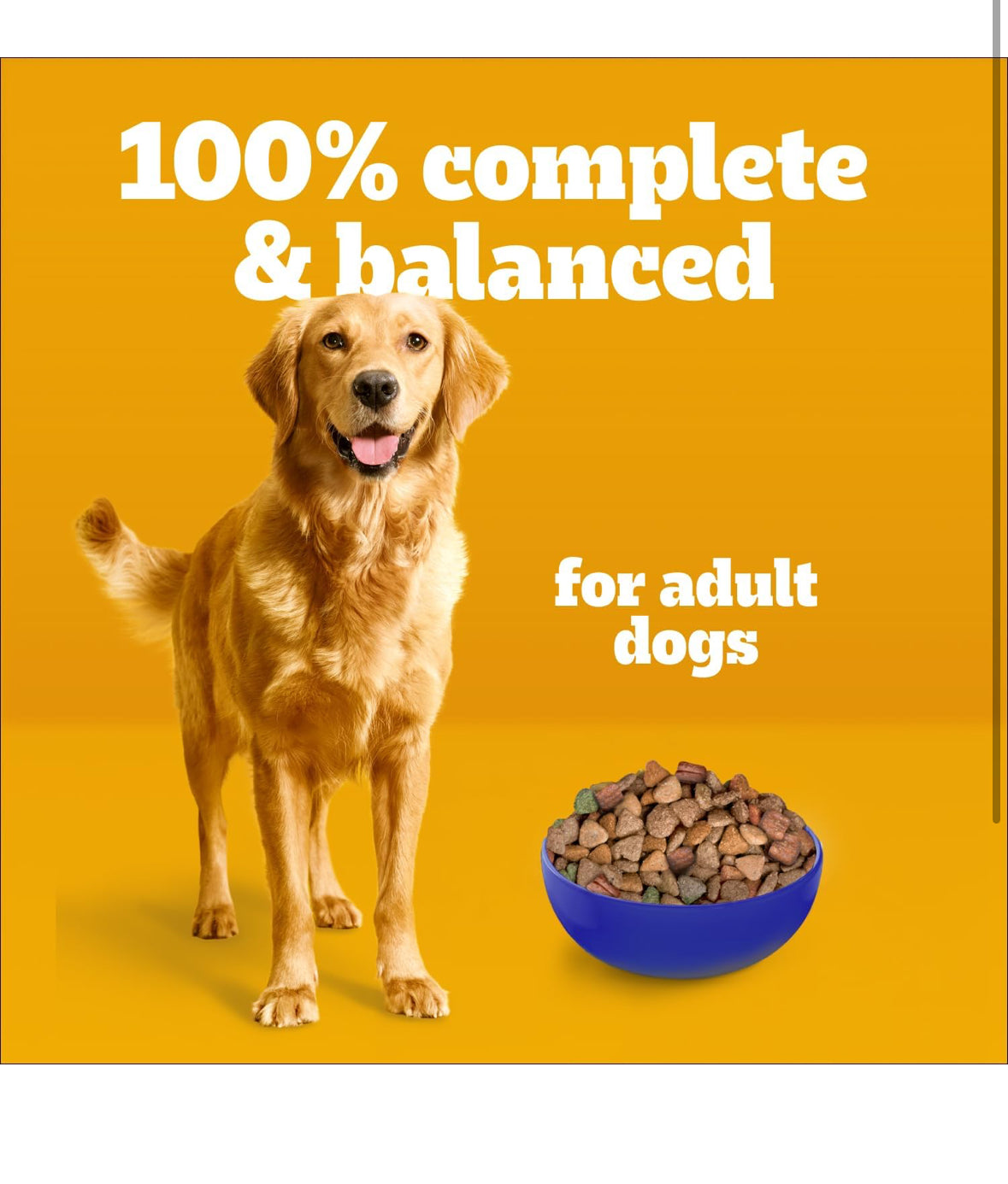 PEDIGREE VITALITY+ Where to buy Adult Dry Best Dog Food – Roasted Chicken & Vegetable - Maple Pets