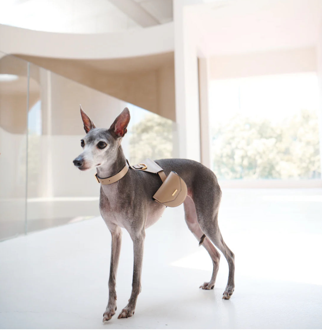 Puppy Pouch Pets Canada - Maple Pets