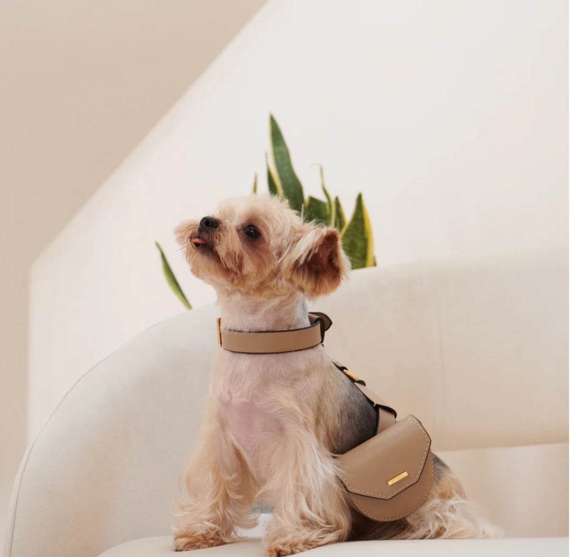 Puppy Pouch Pets Canada - Maple Pets