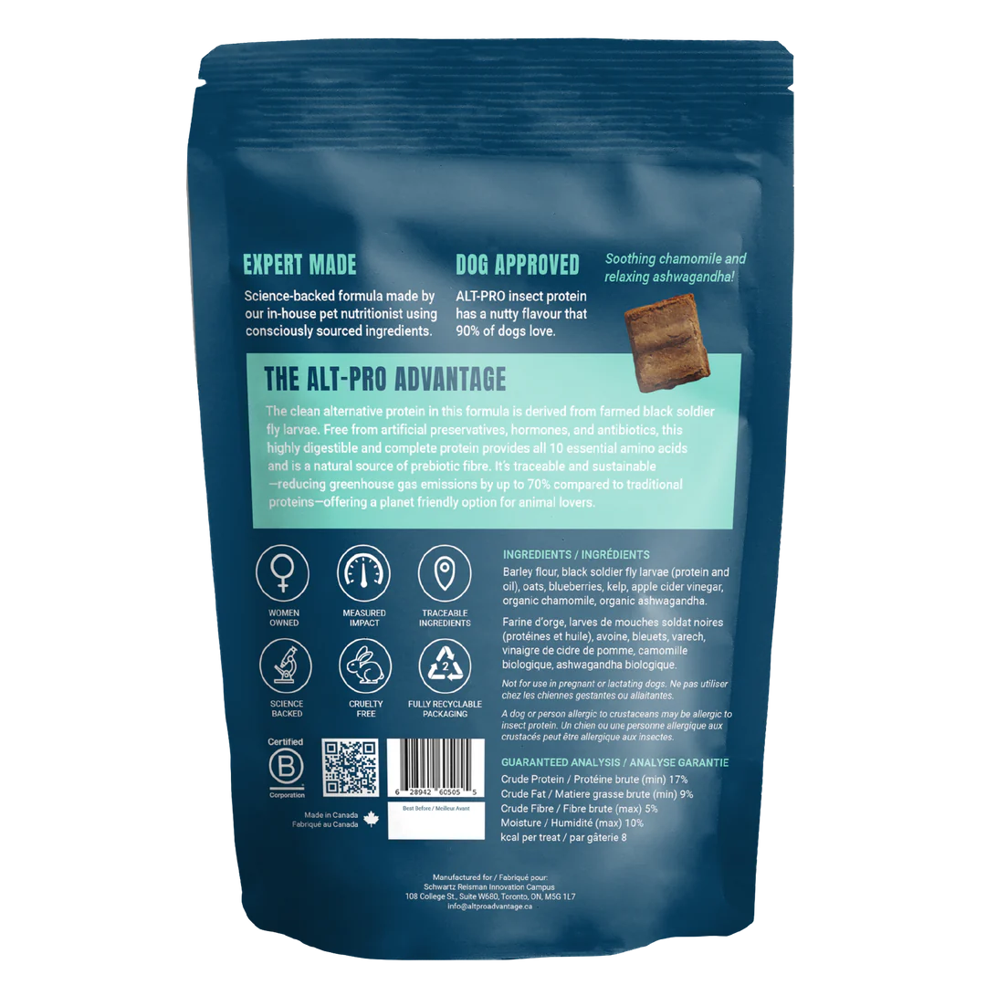 The Best Dry Dog Food Brands - Maple Pets