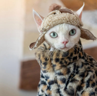 Fluffy Leopard Hairless Cat Clothes Short Plush Cat Fur