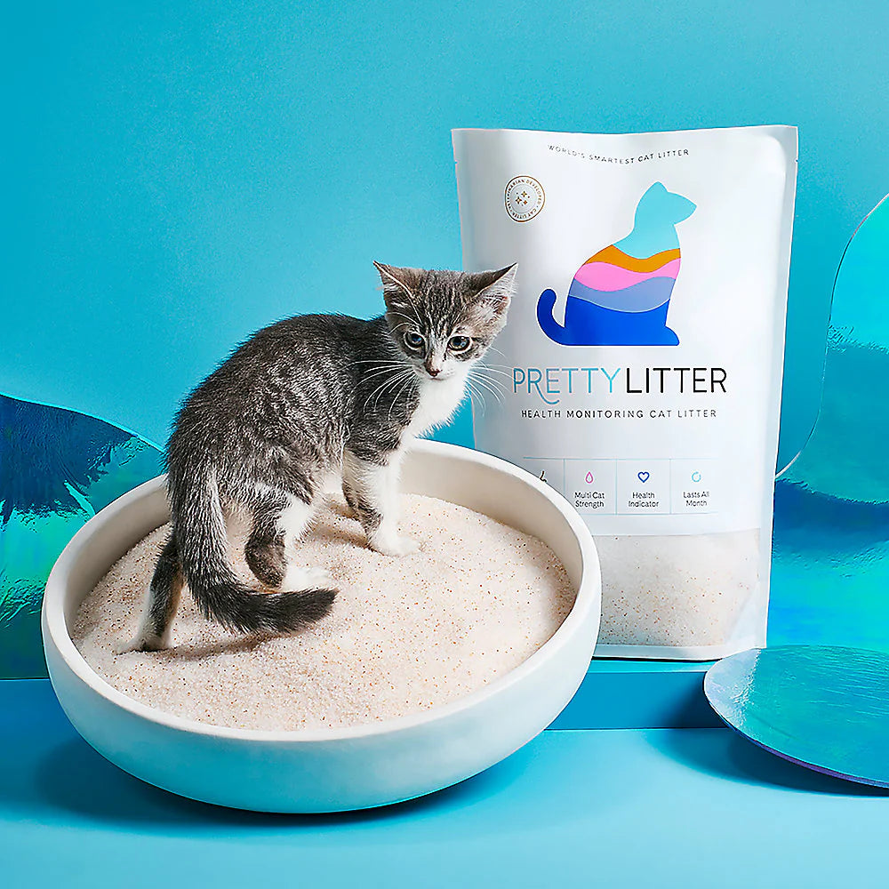 Best Cat Litter PrettyLitter - Maple Pets