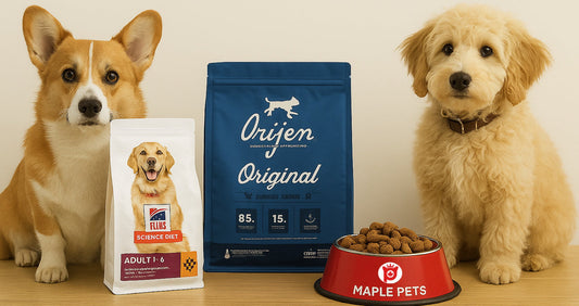 Essential Pet Products Every New Dog Owner Needs