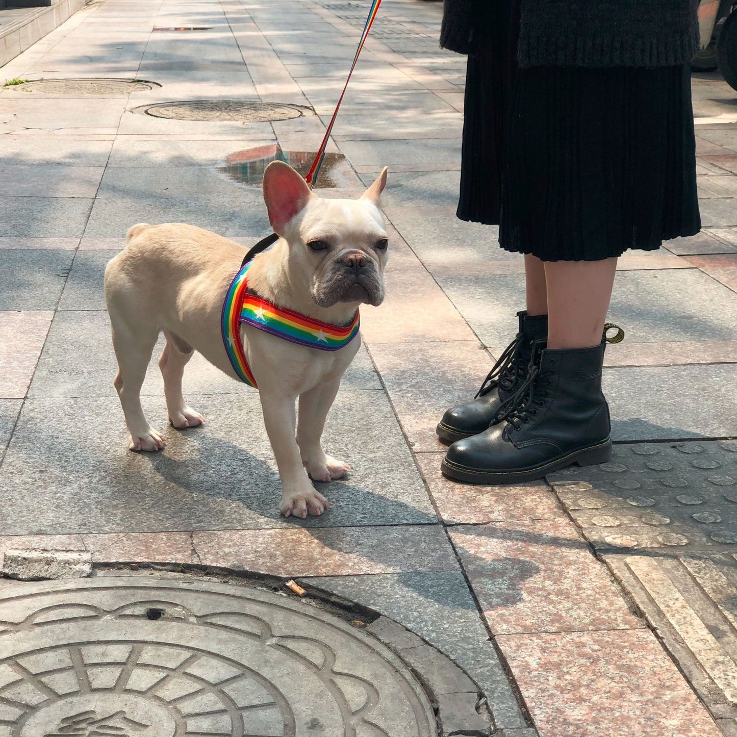 Rainbow Dog Chain Leash – Durable & Stylish Leash for Medium and Large Dogs