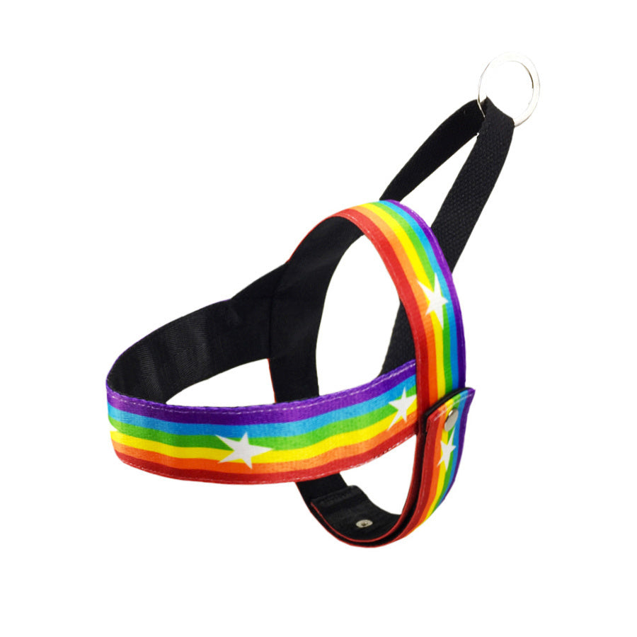 Rainbow Dog Chain Leash – Durable & Stylish Leash for Medium and Large Dogs