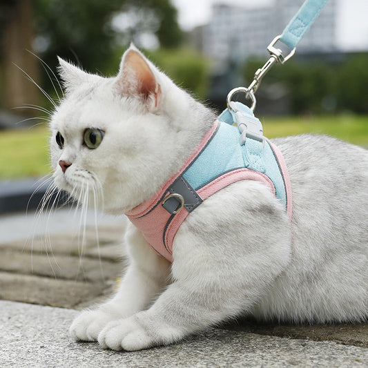 Fashion Cat Vest Hand Holding Rope