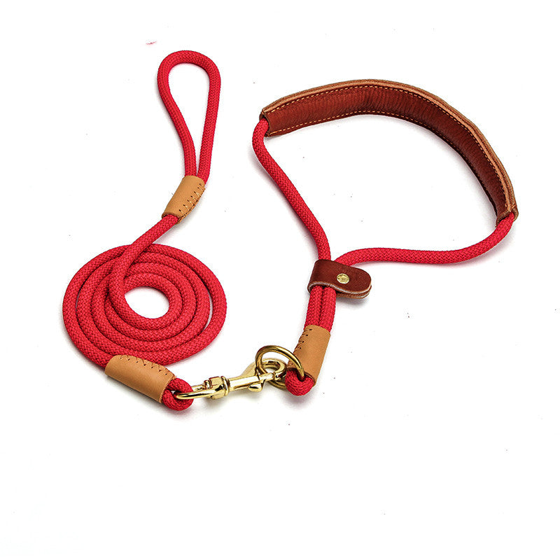 Lightweight Puppy Leash – Comfortable, Durable Dog Leash for Daily Walks