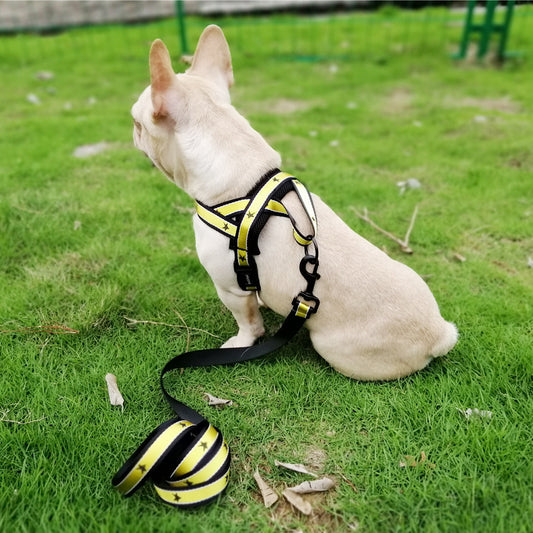 Adjustable Dog Chest Harness for Medium & Large Breeds – Secure, Comfortable Fit