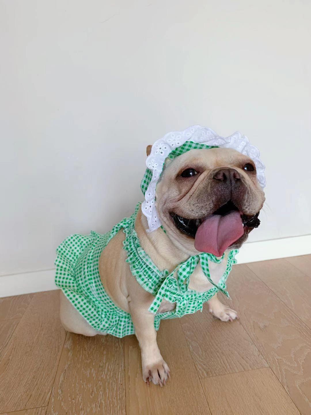 Creative Plaid Dog Dress Set – Stylish & Comfortable Pet Outfit for Small Dogs