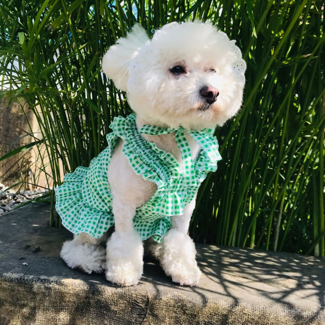 Creative Plaid Dog Dress Set – Stylish & Comfortable Pet Outfit for Small Dogs