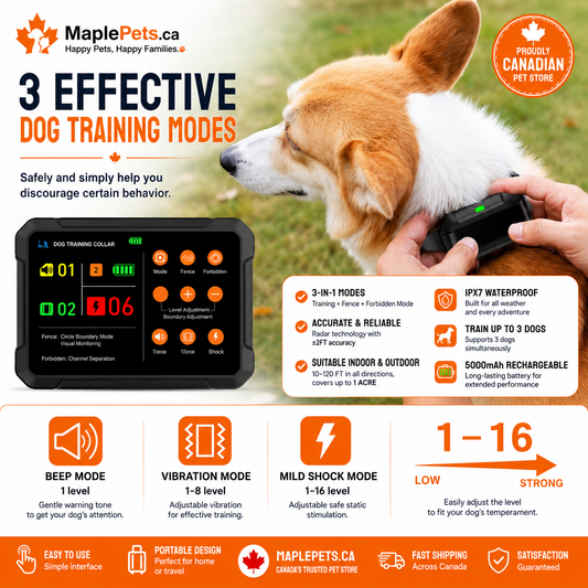 Pet Fencing System Dog Shock Collar Fence GPS Wireless Dog Electric Fence