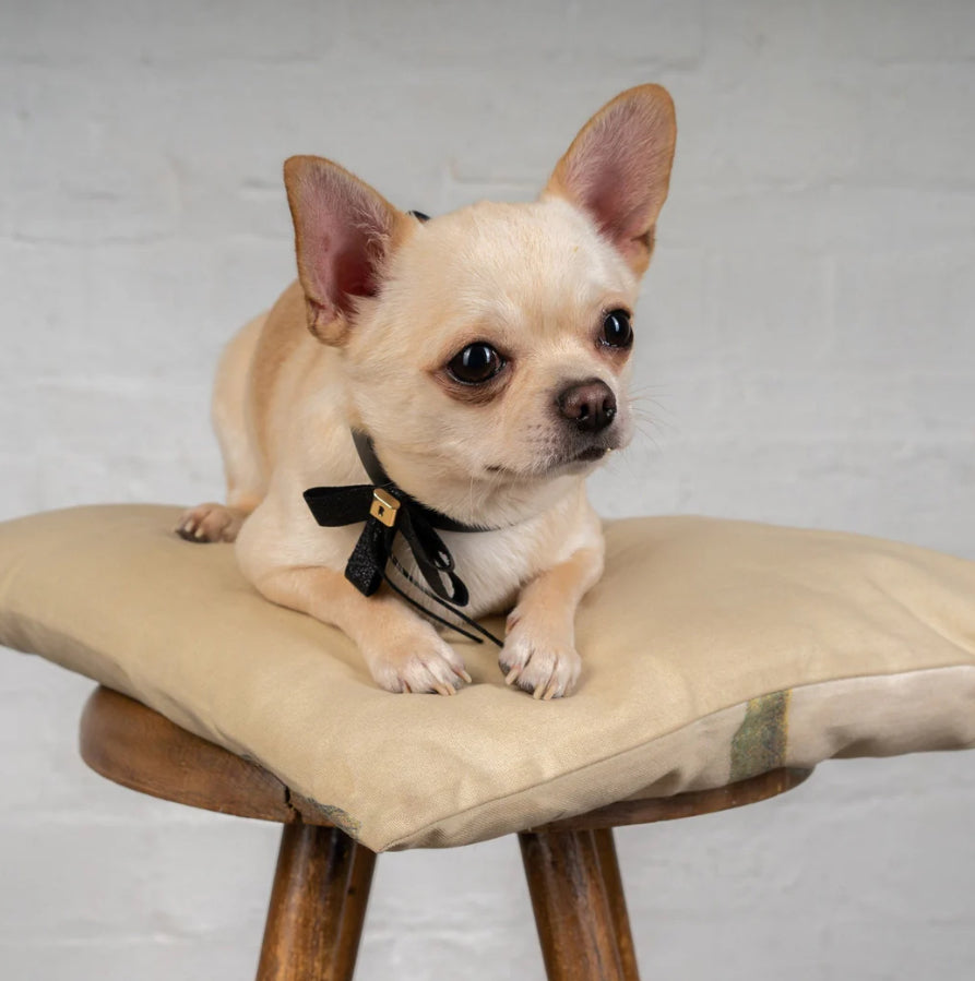 Pets Accessories In Toronto Bowknot Collar - Maple Pets