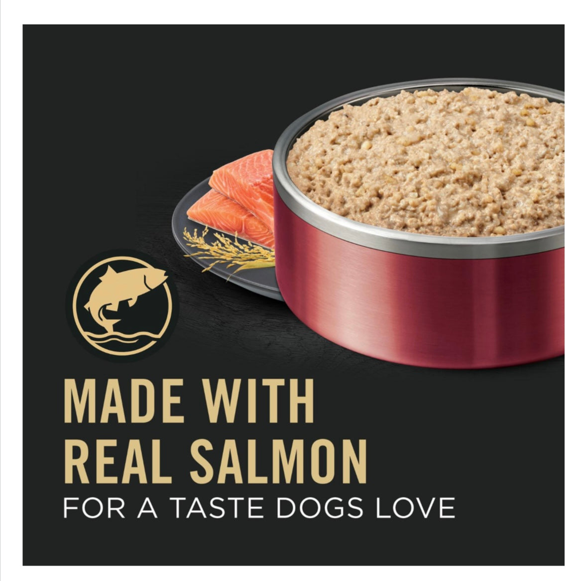 Purina Pro Plan Sensitive Skin & Stomach Best Dog Food – Salmon & Rice for Gentle Digestion - Maple Pets