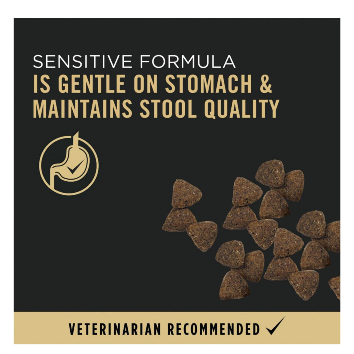 Purina Pro Plan Sensitive Skin & Stomach Salmon & Rice Dog Food – Best for Digestive Health - Maple Pets