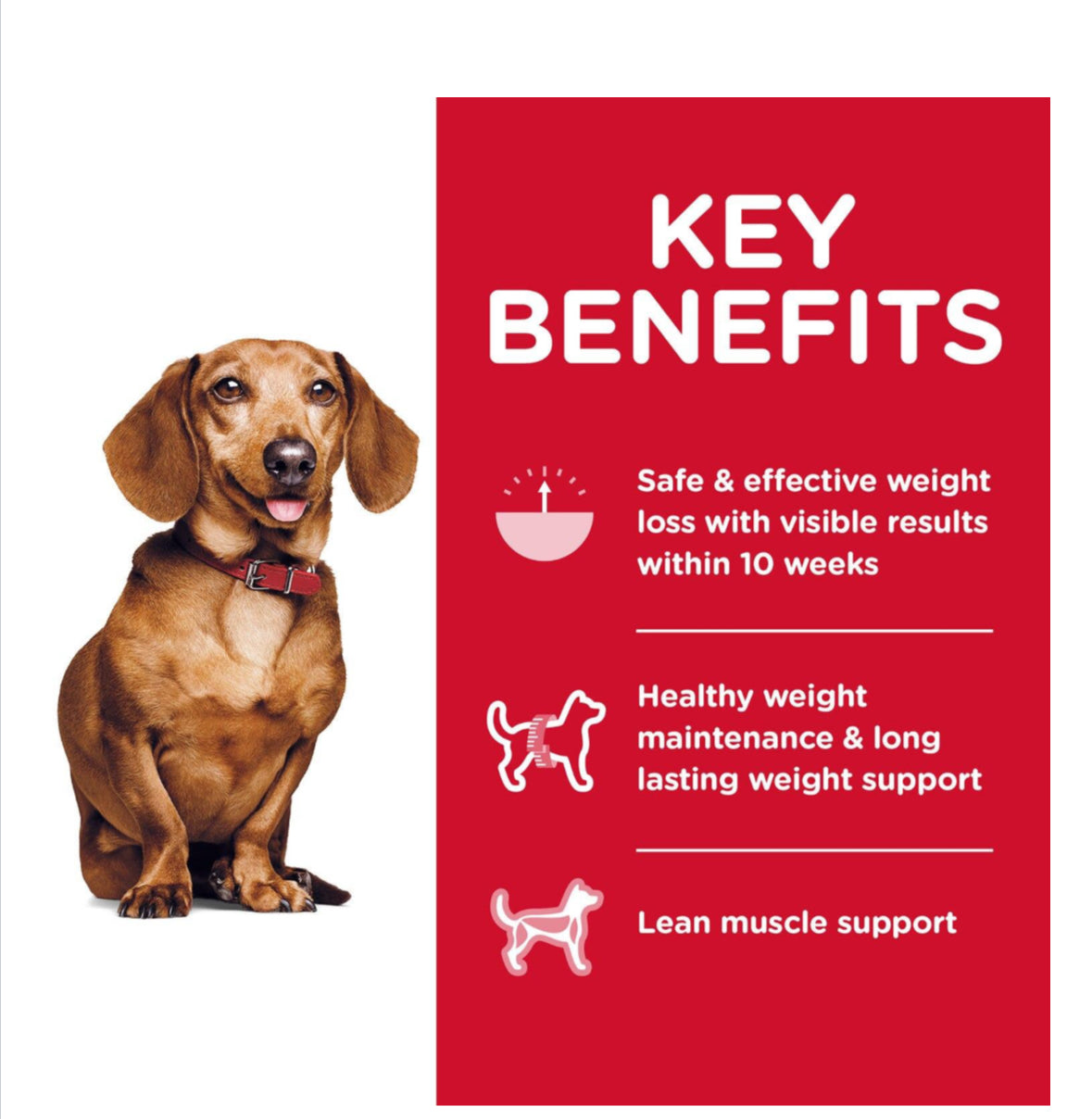 Hill's Science Diet Perfect Weight Small & Mini Best Dog Food - Clinically Proven Weight Management for Tiny Breeds - Maple Pets
