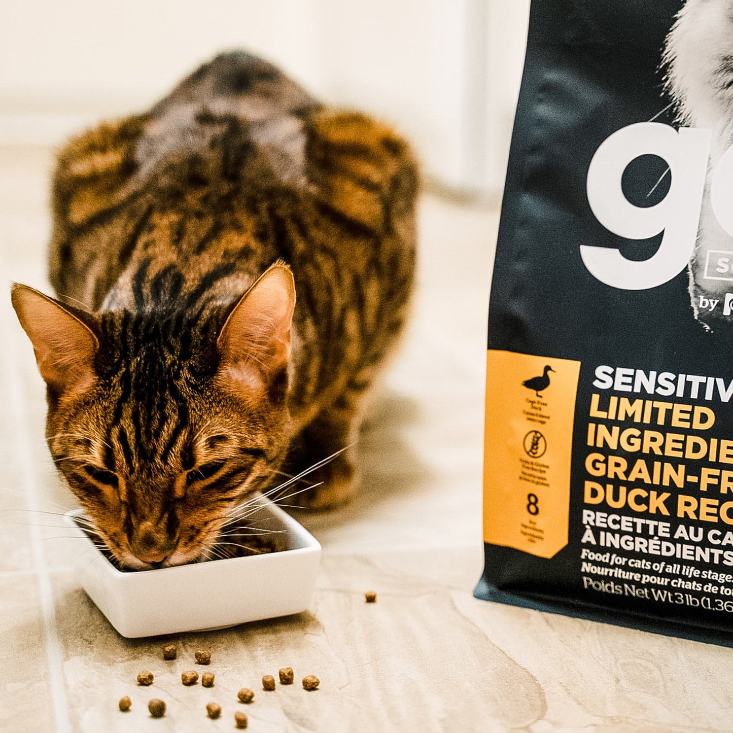 Go! Solutions Sensitivities Limited Ingredient Grain-Free Duck Recipe Cat Food – The Ultimate Solution for Sensitive Cats in Canada - Maple Pets