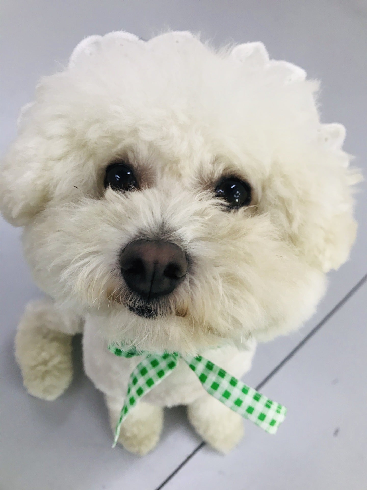 Creative Plaid Dog Dress Set – Stylish & Comfortable Pet Outfit for Small Dogs
