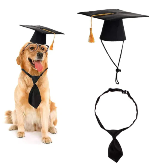 Dog Doctor Costume Hat & Tie – Fun Pet Outfit for Parties, Photos & Events